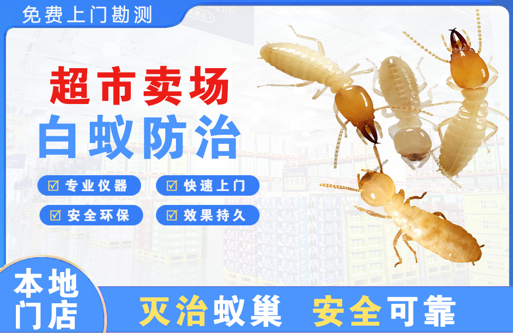 广东超市卖场白蚁防治