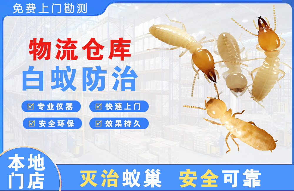 广东物流仓库白蚁防治