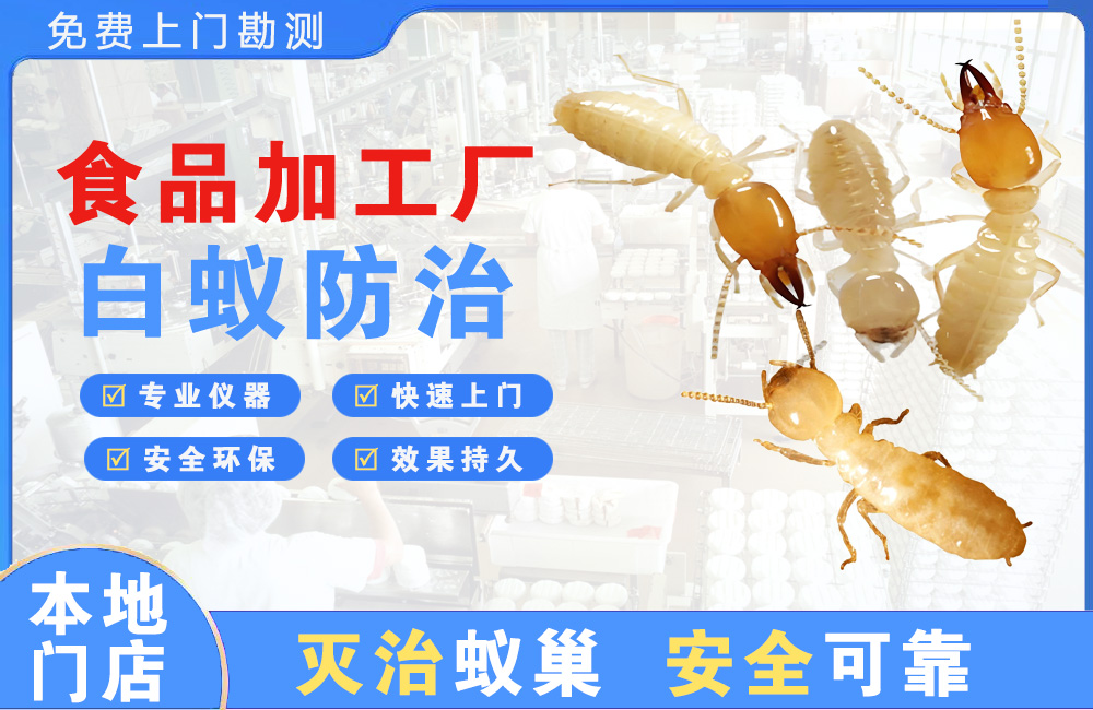 广东食品加工厂白蚁防治