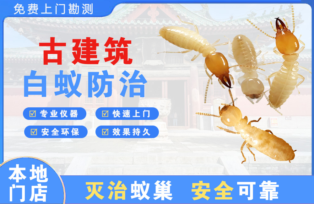 广东古建筑白蚁防治