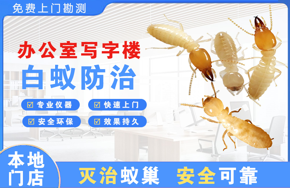 广东办公室写字楼白蚁防治